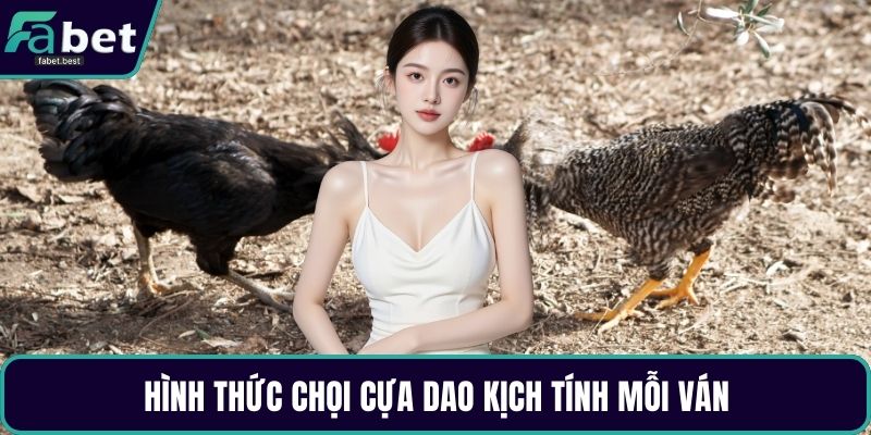 Hình thức chọi cựa dao kịch tính mỗi ván