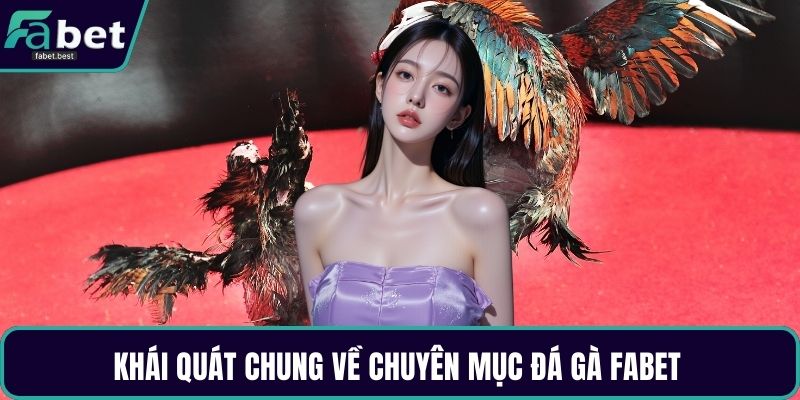 Khái quát chung về chuyên mục đá gà Fabet 
