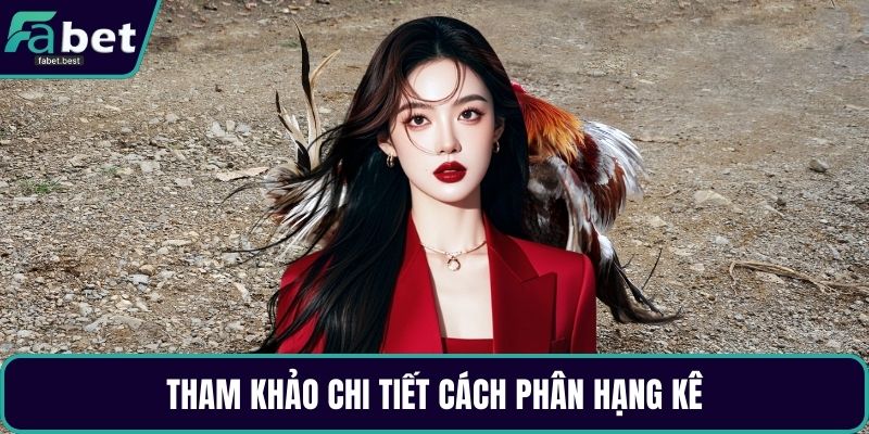 Tham khảo chi tiết cách phân hạng kê